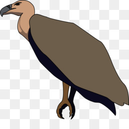 260x260 Beaky Buzzard Turkey Vulture Clip Art
