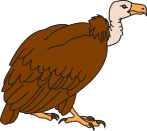 298x264 Big Brown Vulture Clip Art