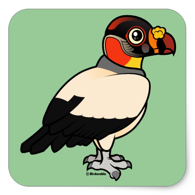 640x640 Birdorable King Vulture Square Sticker Cute Bird Gifts
