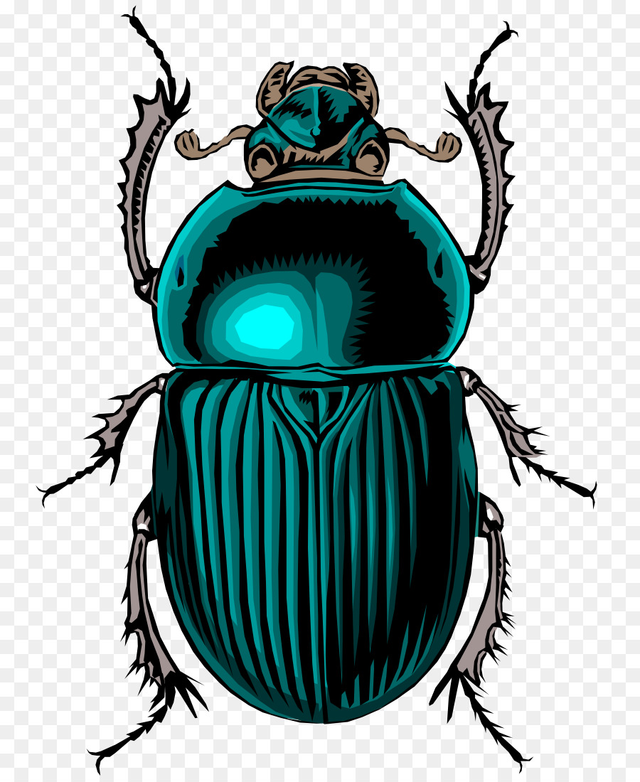 900x1100 Volkswagen Beetle Dung Beetle Clip Art