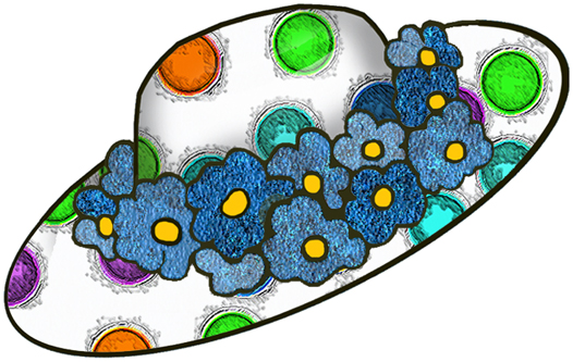 526x333 Crazy Hat Clipart Mq 02a