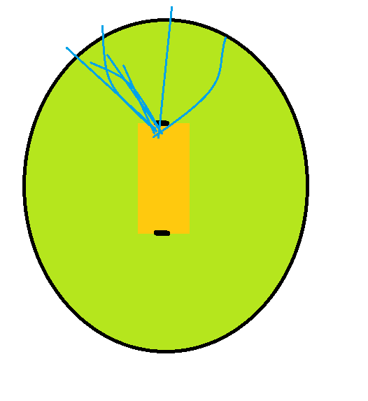 526x573 Rohit Sharma's Wagon Wheel Stars On Stars