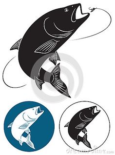 236x318 Fish Eating Insect Clip Art