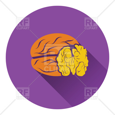 400x400 Flat Color Design Of Walnut Icon Royalty Free Vector Clip Art