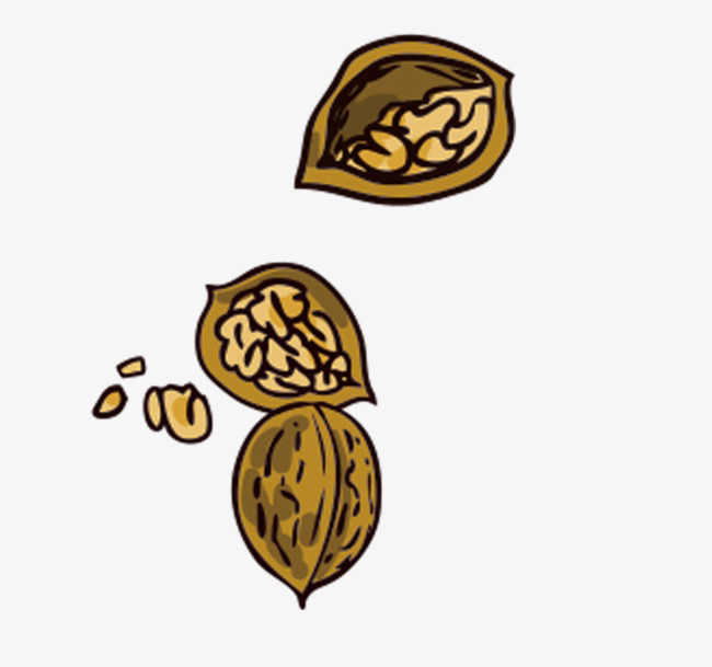 650x609 Hand Painted Walnuts, Dried Fruit, Nut, Walnut Png Image