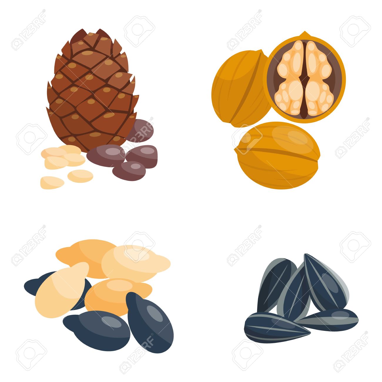 1300x1300 Organic Sunflower Seeds Clipart