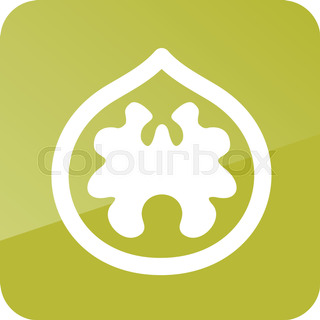 320x320 Walnuts And A Cracked Walnut Vector Illustration Stock Vector