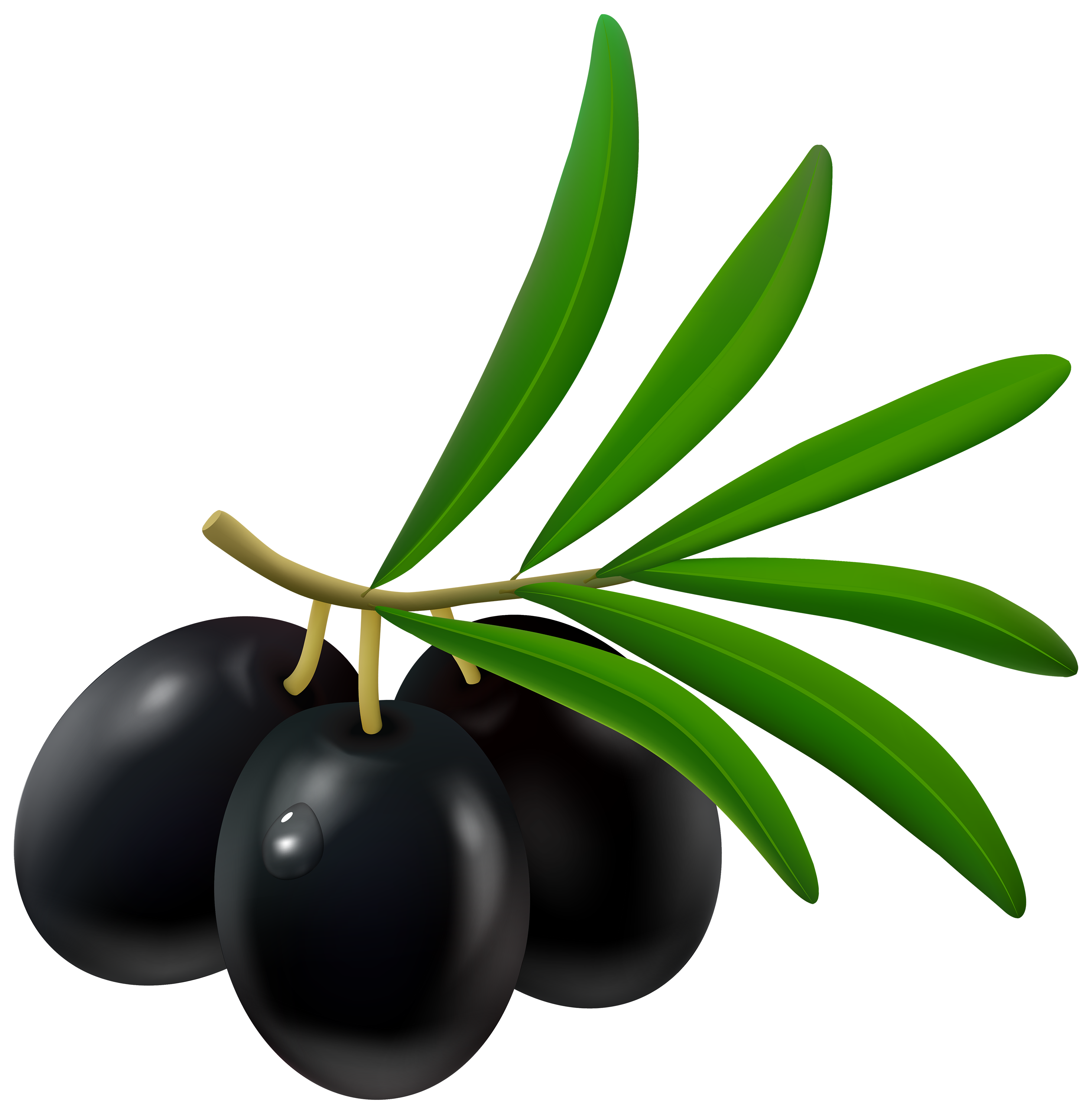 2940x3000 Black Olive Png Clipart