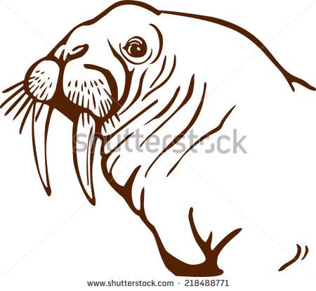450x414 Pinnipeds Stock Vectors Amp Vector Clip Art Shutterstock Tattoo