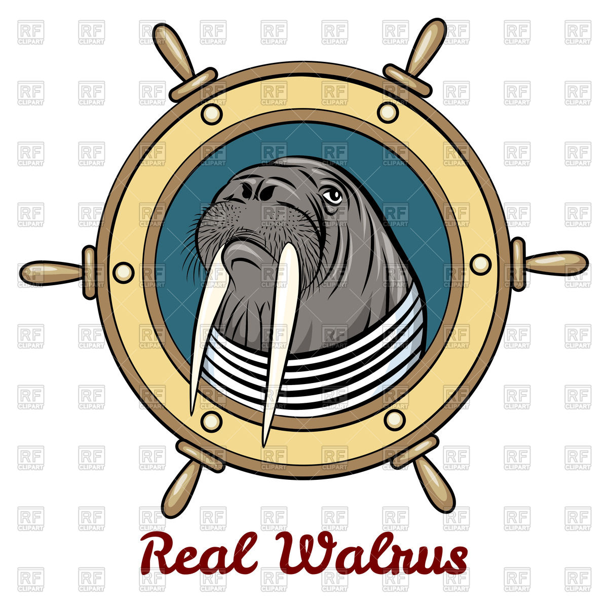1200x1200 Portrait Of Walrus In Seaman Shirt Inside Steering Wheel Royalty