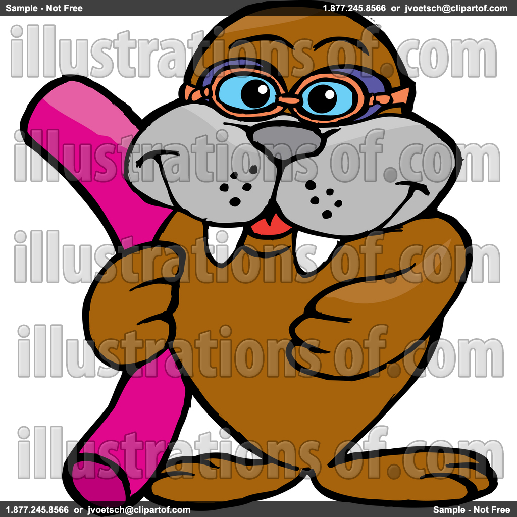 1024x1024 Rf) Walrus Clipart Clipart Panda