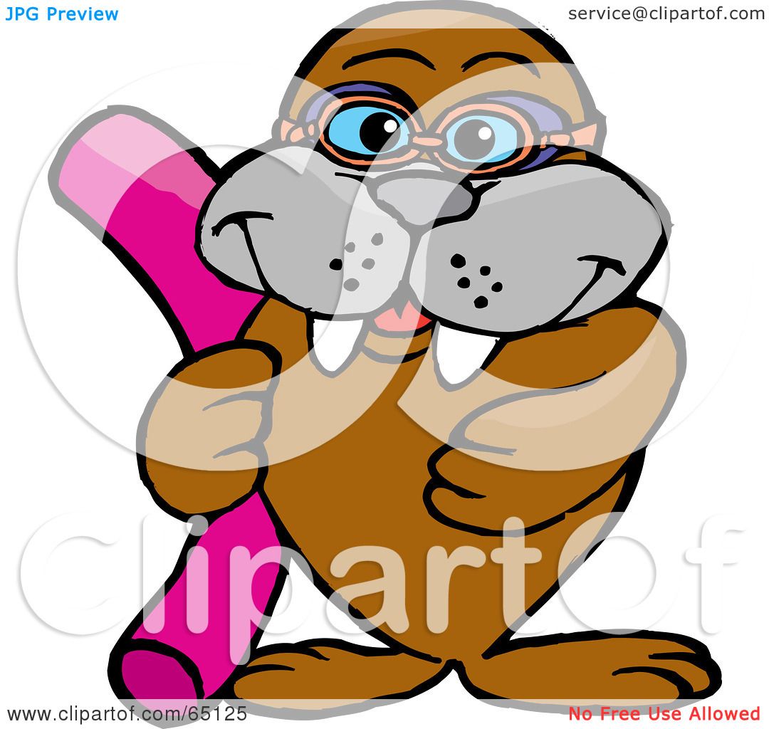 1080x1024 Royalty Free (Rf) Clipart Illustration Of A Smiling Walrus Holding