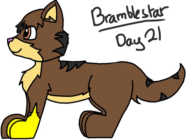 736x552 Konj Jack. Djeca Za Nas. Za Djecu Count