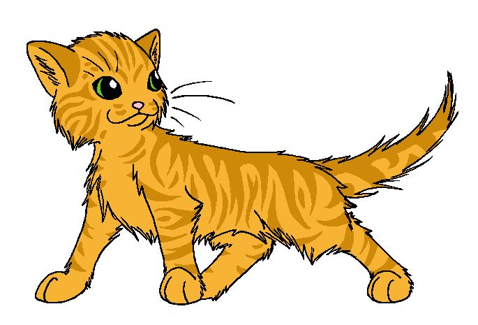 685x465 21 Best Warrior Cat Coloring Pages Images On Warrior