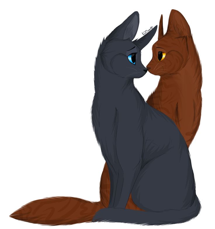 736x783 Drawn Feline Bluestar 3322087