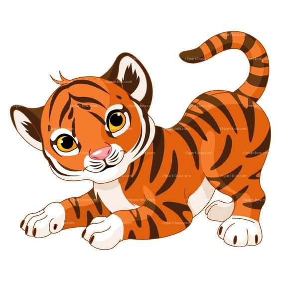 564x564 Tiger Cat Clipart, Explore Pictures