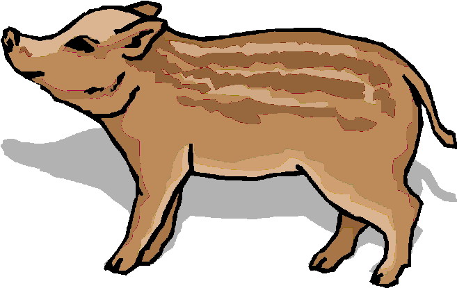 657x415 Clip Art Farm Boars