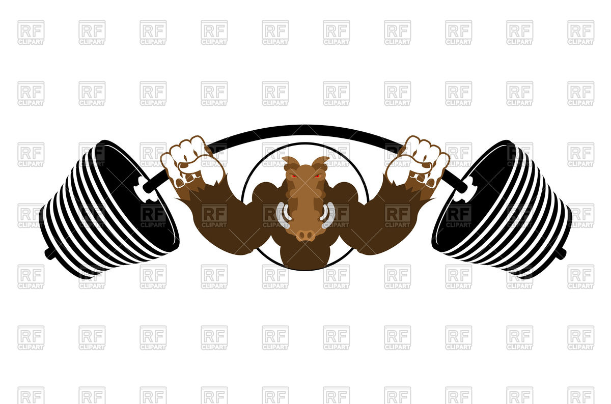 1200x794 Strong Angry Warthog With Barbell