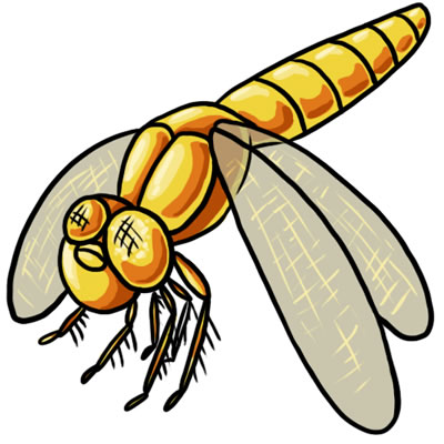 400x400 50 Free Dragonfly Clip Art 17