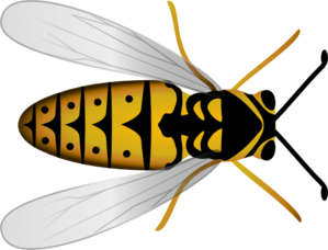 299x228 Bee Clip Art
