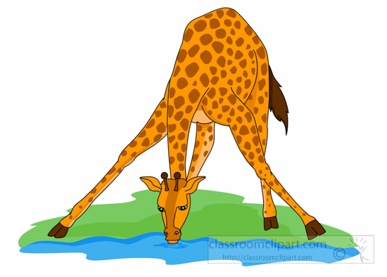 550x394 Imposing Ideas Clipart Giraffe Free To Use Public Domain Clip Art