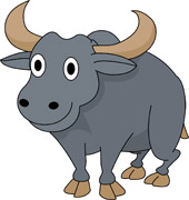 170x180 Free Buffalo Clipart