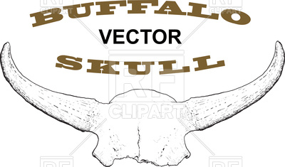 400x235 Old Skull Of Buffalo Horns Royalty Free Vector Clip Art Image