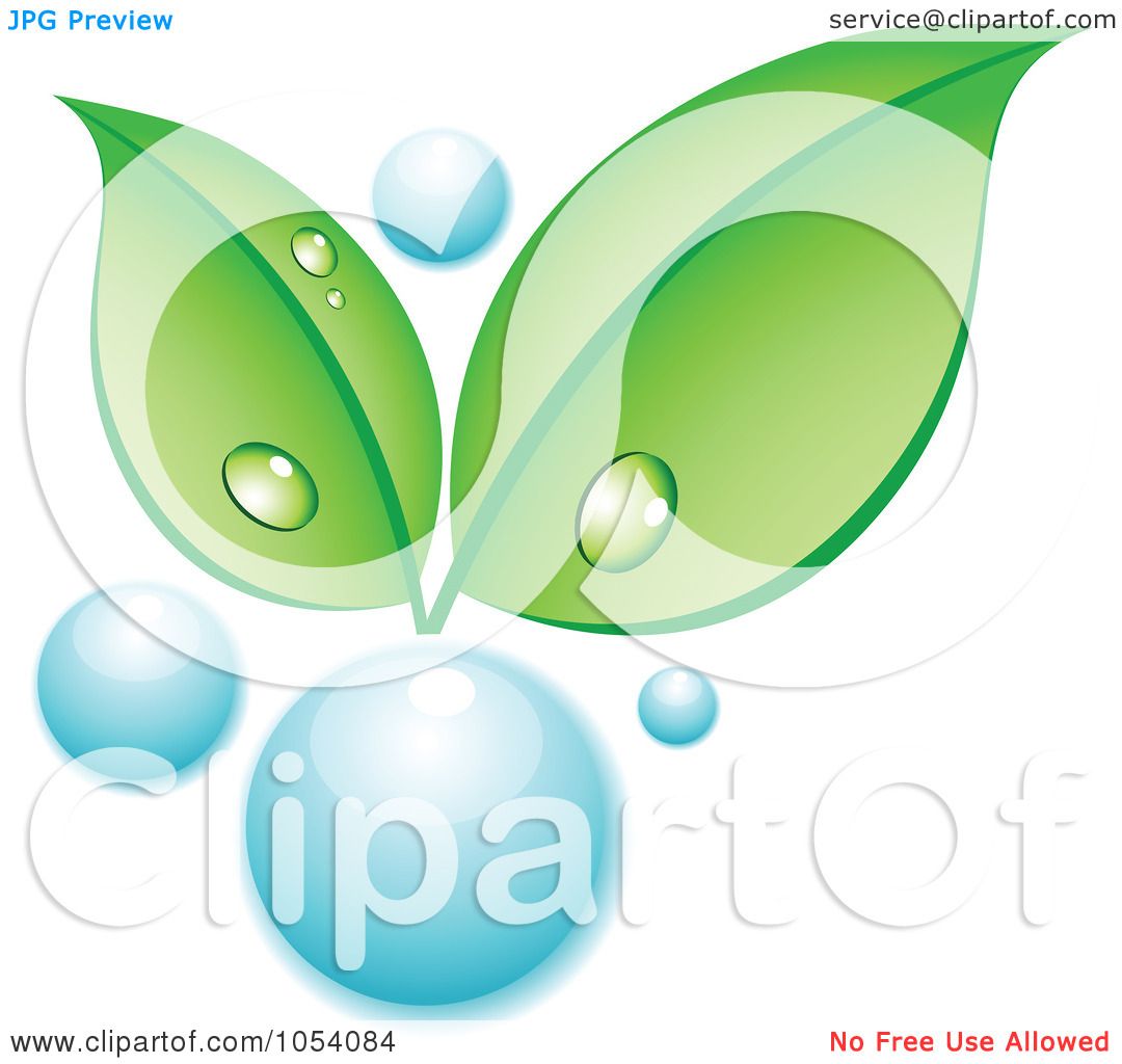 1080x1024 Royalty Free Vector Clip Art Illustration Of Dewy Green Leaves
