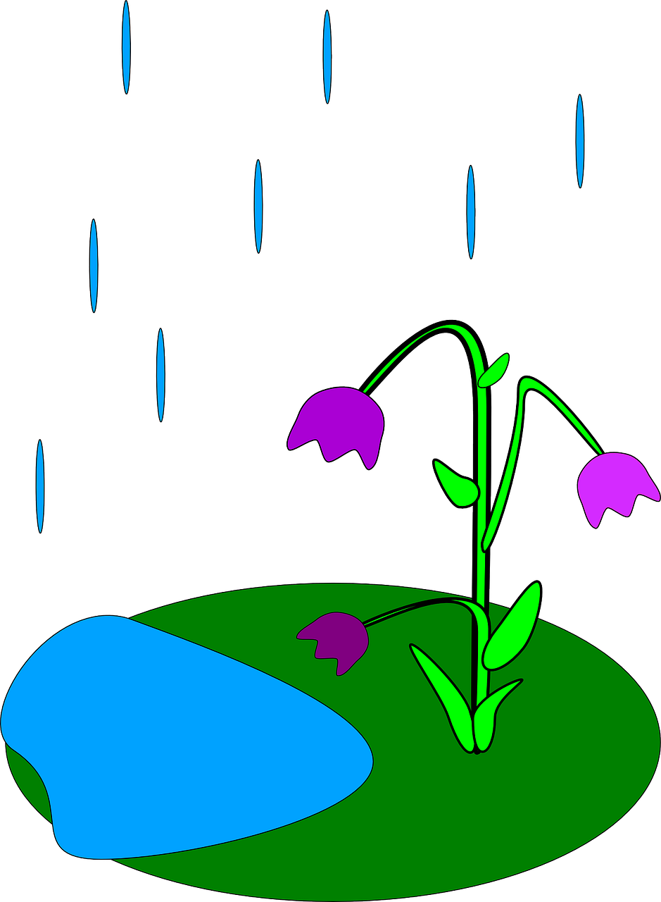 939x1280 How Is Rain Formed Rain Facts Cool Kid Facts