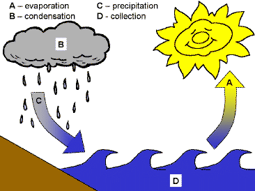 366x274 The Water Cycle