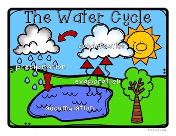 350x270 Water Cycle Poster Classroom Display And Practice Worksheets Tpt