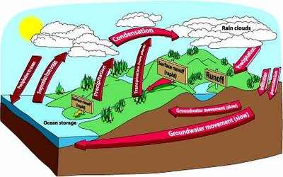 400x250 Water Cycle