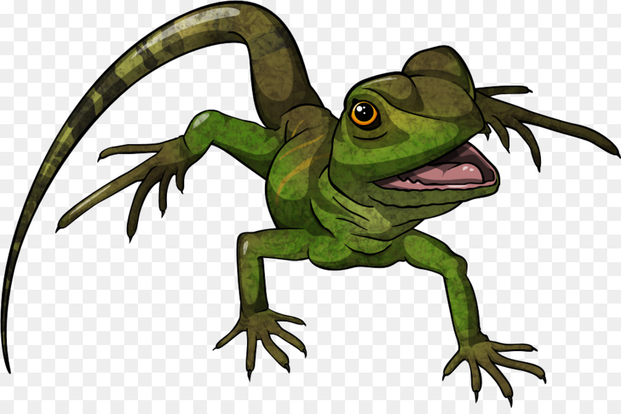 900x600 Chinese Water Dragon Clipart