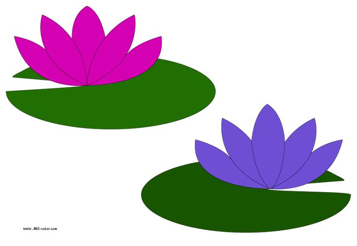 Water Lily Clipart