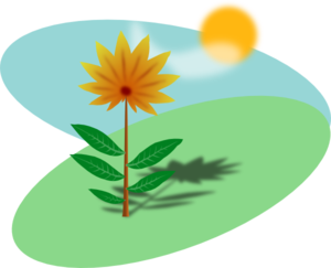 300x243 Plant And Sun Clipart Amp Plant And Sun Clip Art Images