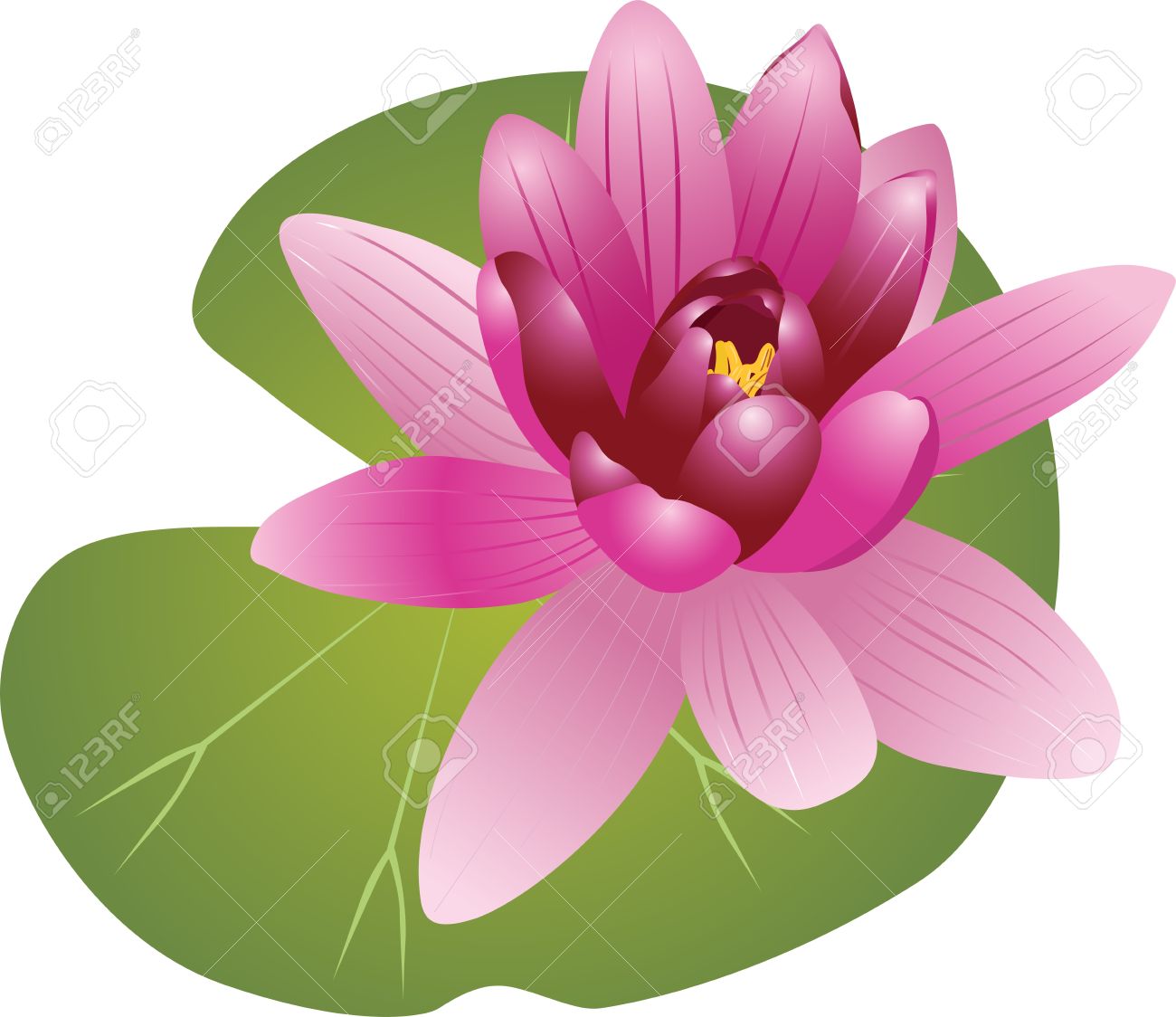 Water Lily Clipart at GetDrawings | Free download