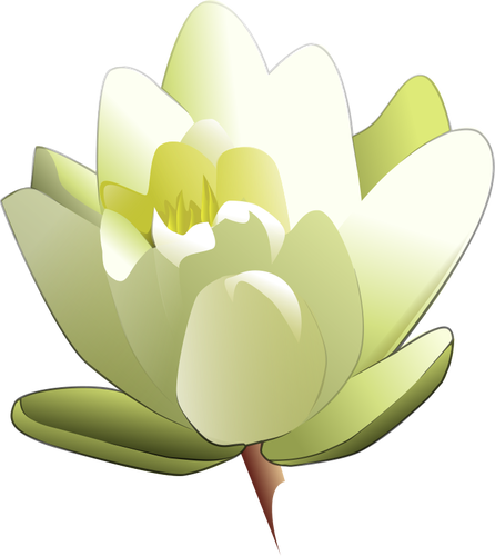 446x500 Water Lily Vector Image Public Domain Vectors