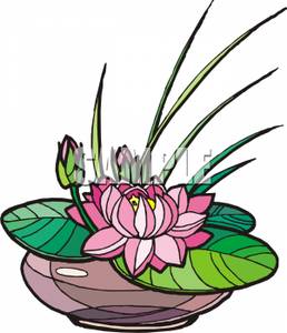 258x300 A Pink Water Lily In A Shallow Vase
