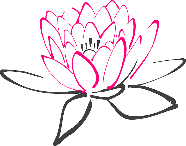 640x503 Water Lily