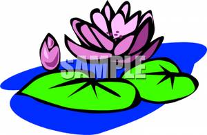 300x195 A Purple Water Lily Clip Art Clipart Panda