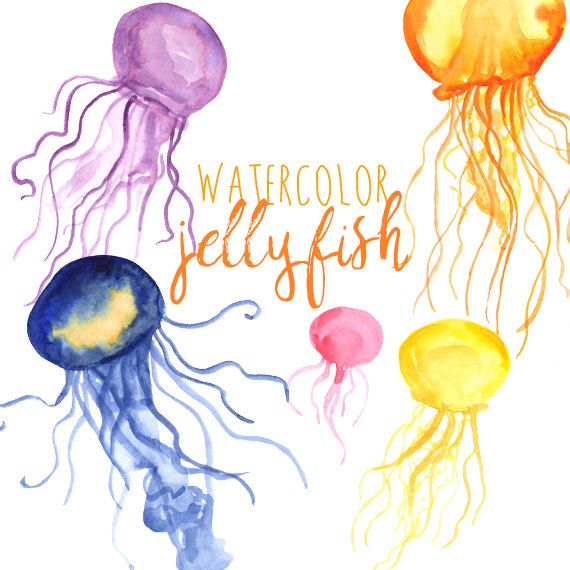 570x570 Watercolor Jellyfish Clip Art Set, Seaside, Jelly Fish Clipart