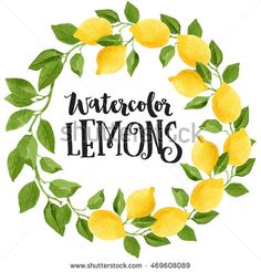 236x246 Watercolor Lemons Clipart, Lemon Watercolor Clip Art. Hand Painted