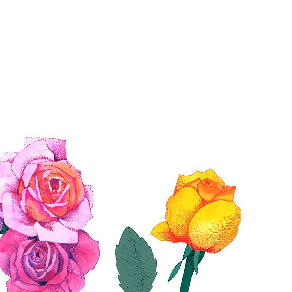 570x570 Watercolor Clip Art, Rose, Flowers, Bouquet, Watercolor Roses