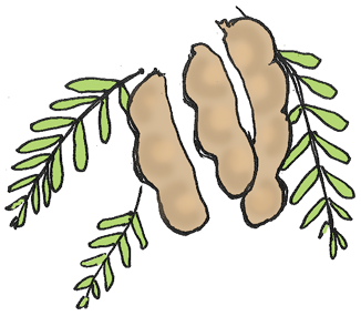 326x285 Waterfall Walk Map Out Now.