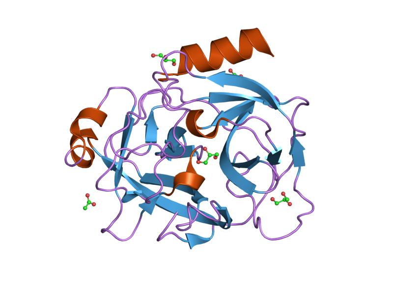 800x600 Antigen Cliparts