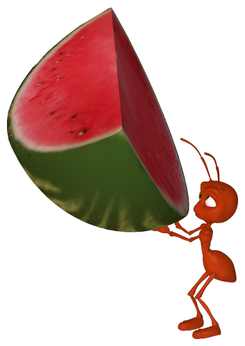 352x497 Ant Carrying Watermelon Clip Art