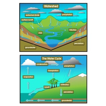 350x350 Watersheds + The Water Cycle Clip Art Set By The Painted Crow Tpt