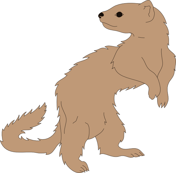 600x588 Ferret Looking Back Png, Svg Clip Art For Web