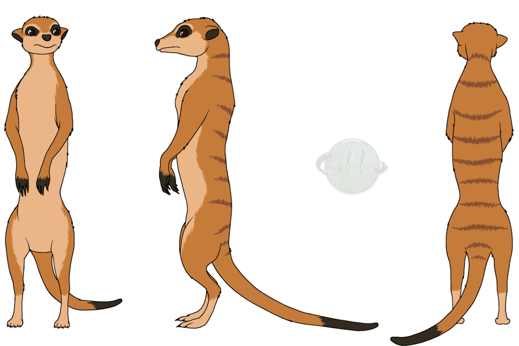 1054x703 Meerkat Clipart Stock Illustrations 470 Clip Art Images