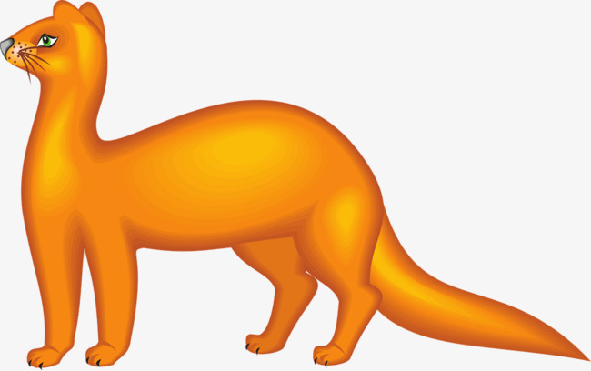 650x408 Orange Weasel, Orange, Weasel, Animal Png Image And Clipart